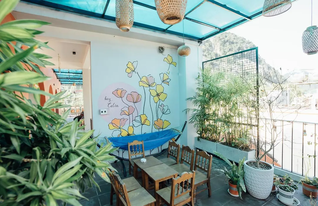 Celia Boutique Hotel-1